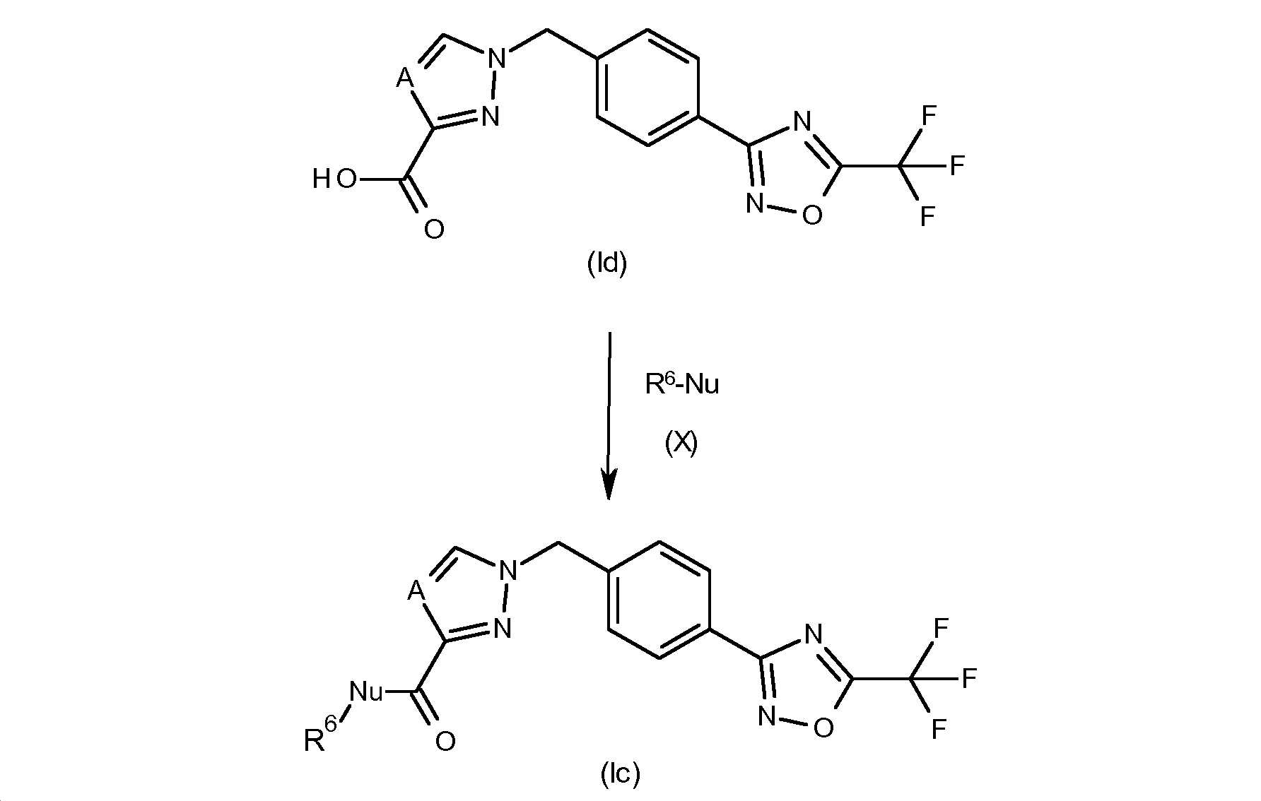 Figure pct00020