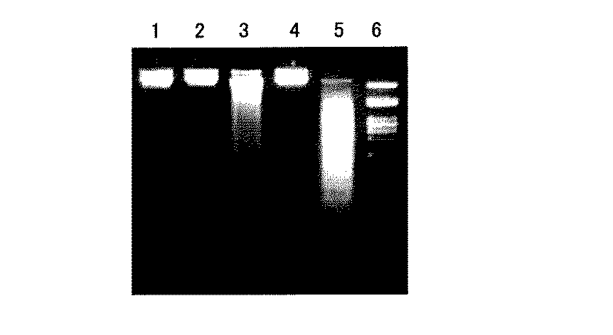 Jpa ２ ６ ジプレニル ４ ビニルフェノールの生成方法 Google Patents