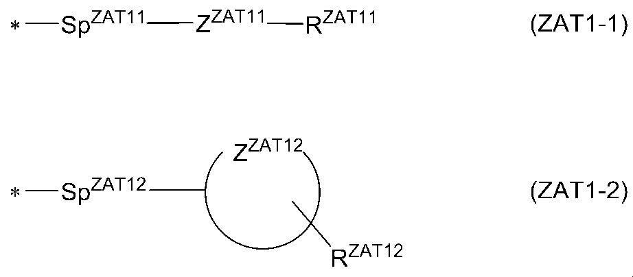 Figure JPOXMLDOC01-appb-C000017