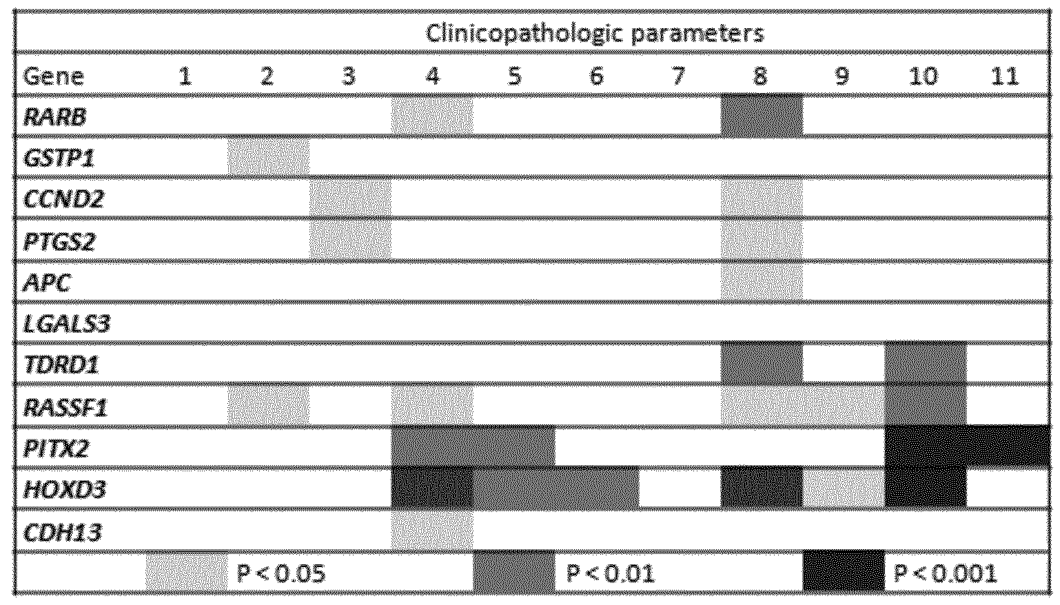 adenocarcinoma invasor de prostata score de gleason 7 adenocarcinoma invasor de prostata score de gleason 7