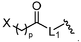 Figure imgb0080