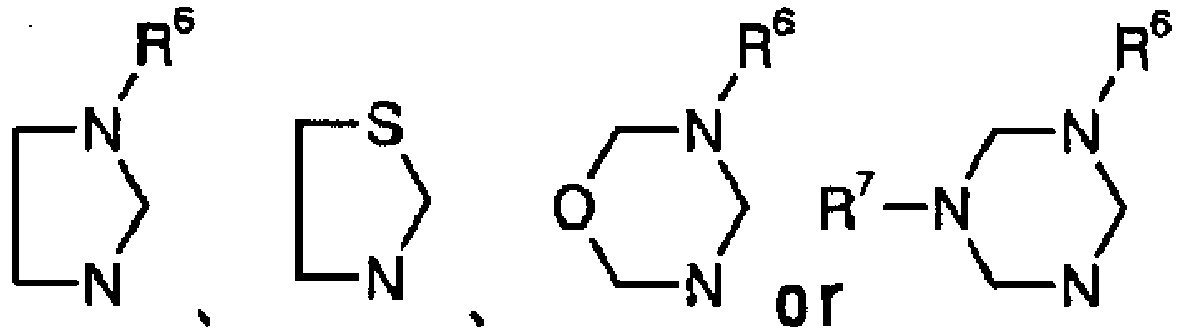 Figure imgb0004