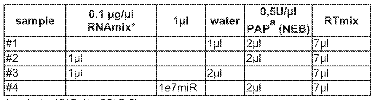 Figure imgf000032_0001