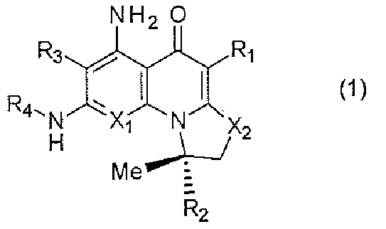 Figure JPOXMLDOC01-appb-C000005