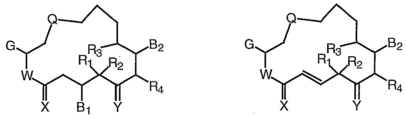 Figure imgf000003_0001