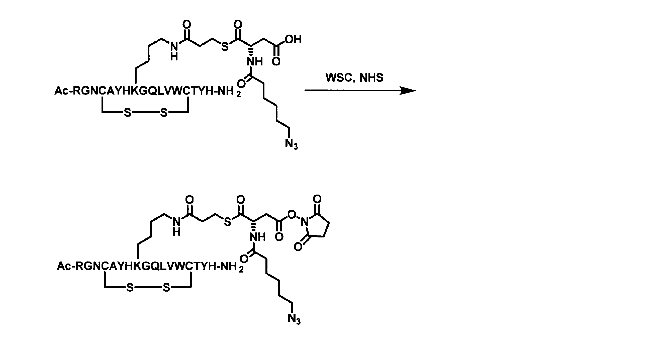 Figure JPOXMLDOC01-appb-C000095