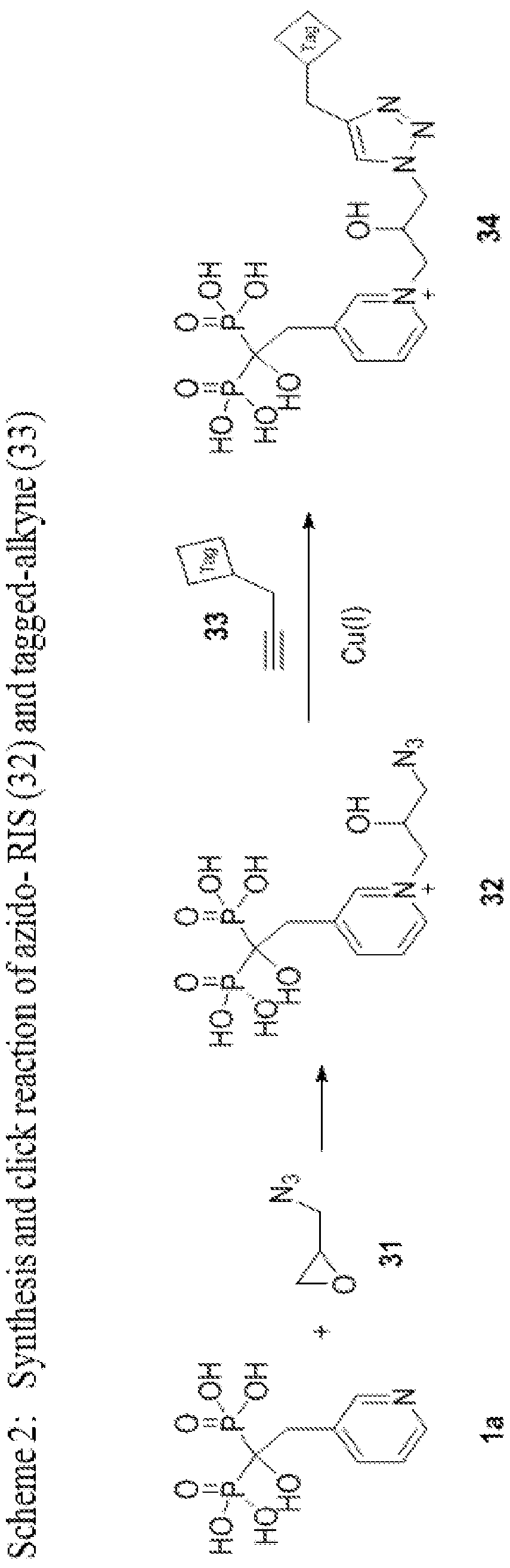 Figure imgf000020_0001