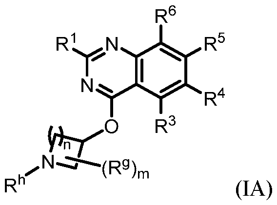Figure imgf000025_0001