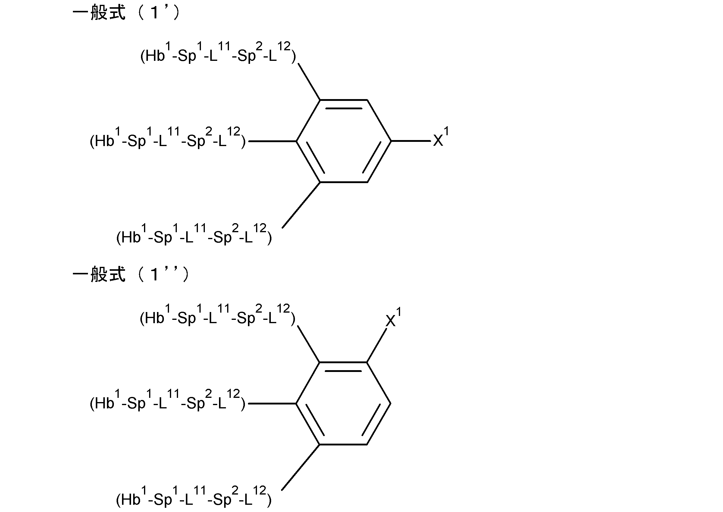Figure JPOXMLDOC01-appb-C000019