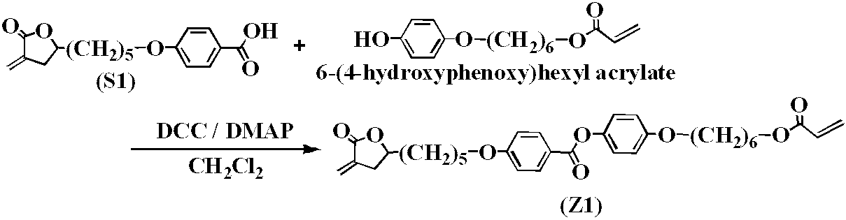 Figure JPOXMLDOC01-appb-C000045
