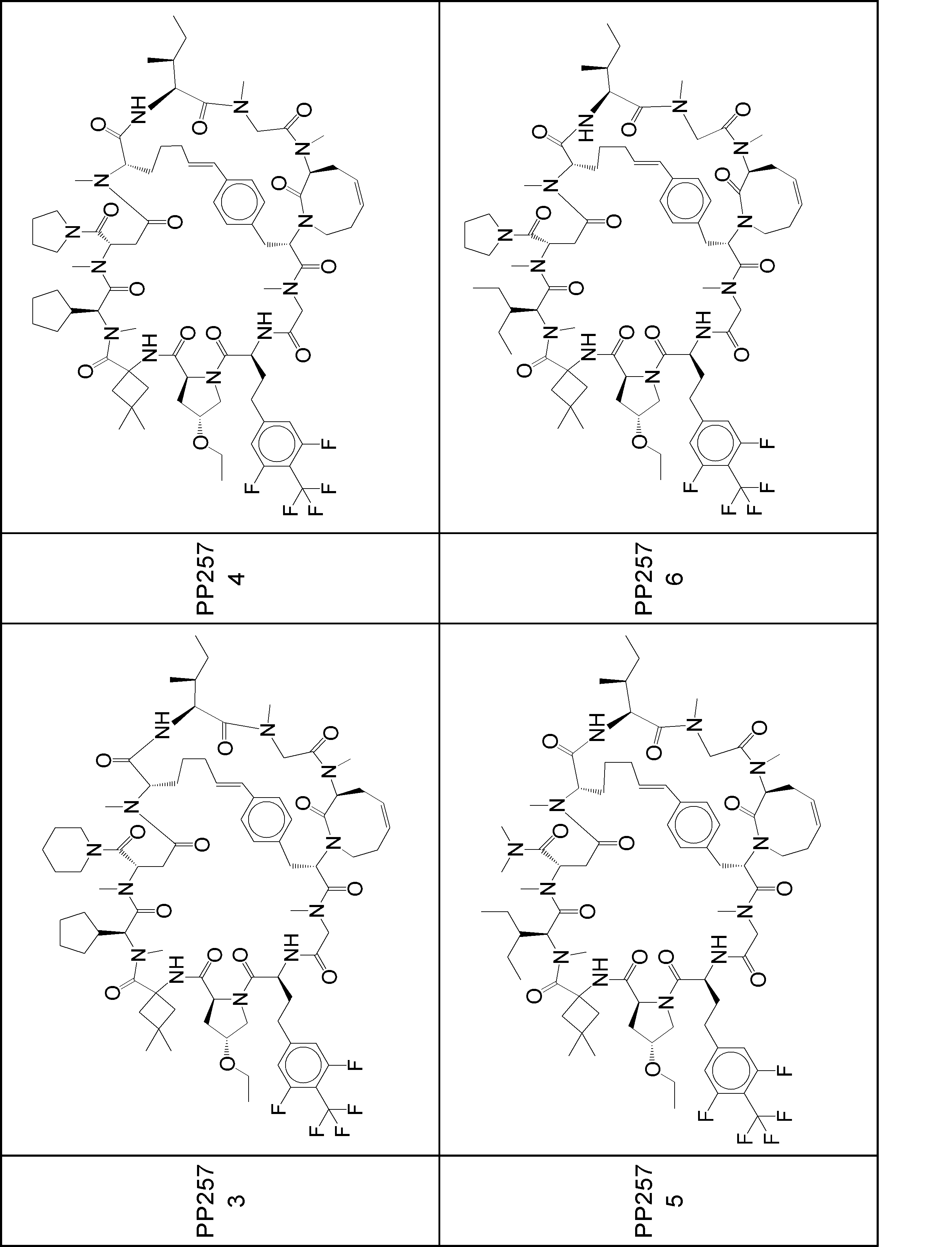 Figure JPOXMLDOC01-appb-I001100
