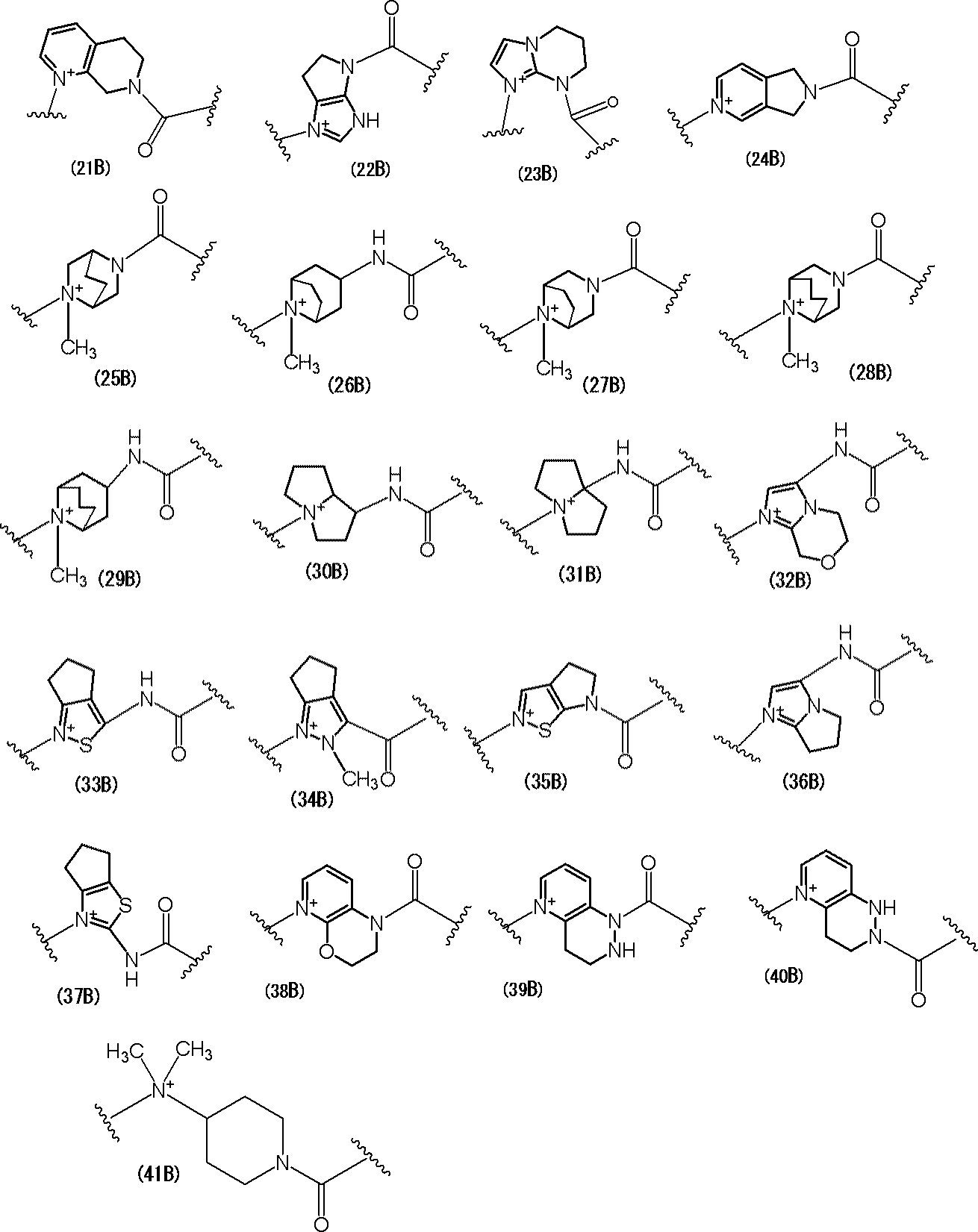 Figure JPOXMLDOC01-appb-C000050