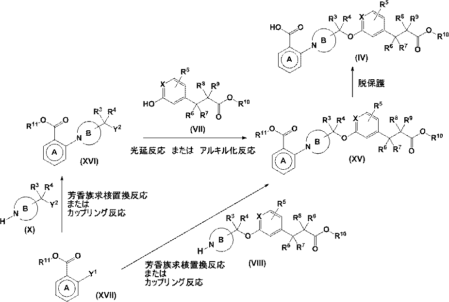 Figure JPOXMLDOC01-appb-C000013