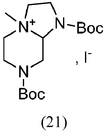 Figure imgb0051