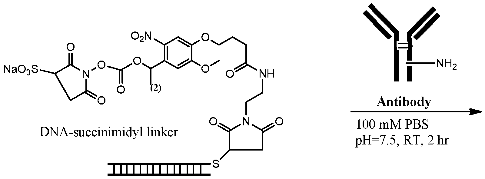 Figure imgf000148_0002
