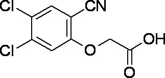 Figure JPOXMLDOC01-appb-C000026