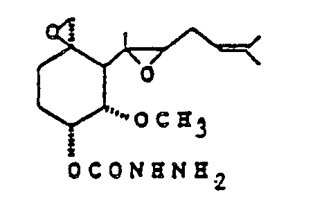 Figure imgb0037