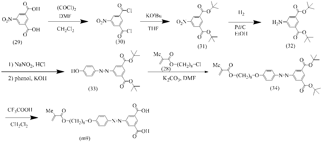 Figure JPOXMLDOC01-appb-C000064