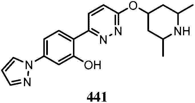 Figure pct00593