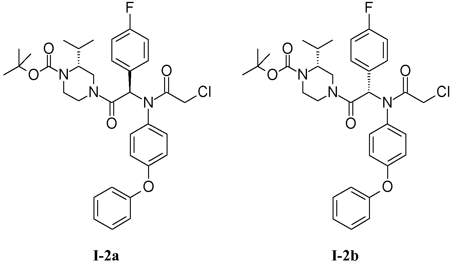 Figure imgb0013