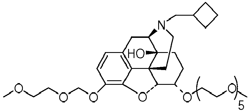 Figure imgb0051