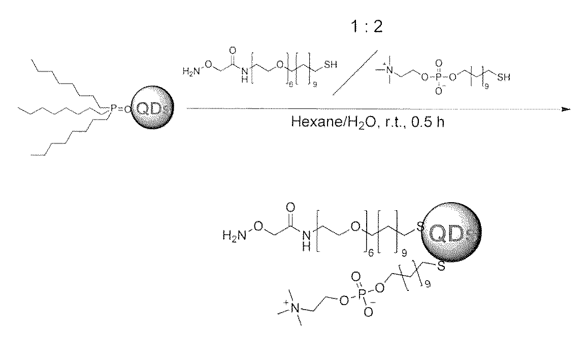 Figure JPOXMLDOC01-appb-C000043