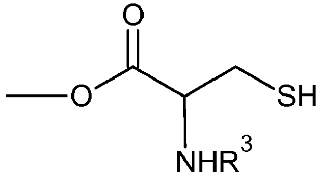 Figure imgb0010