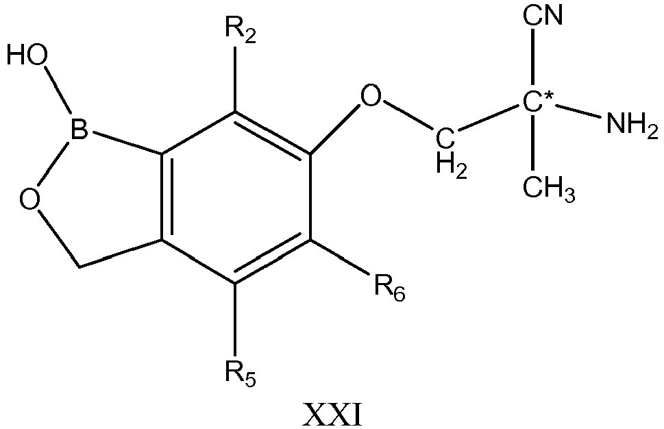Figure imgb0029