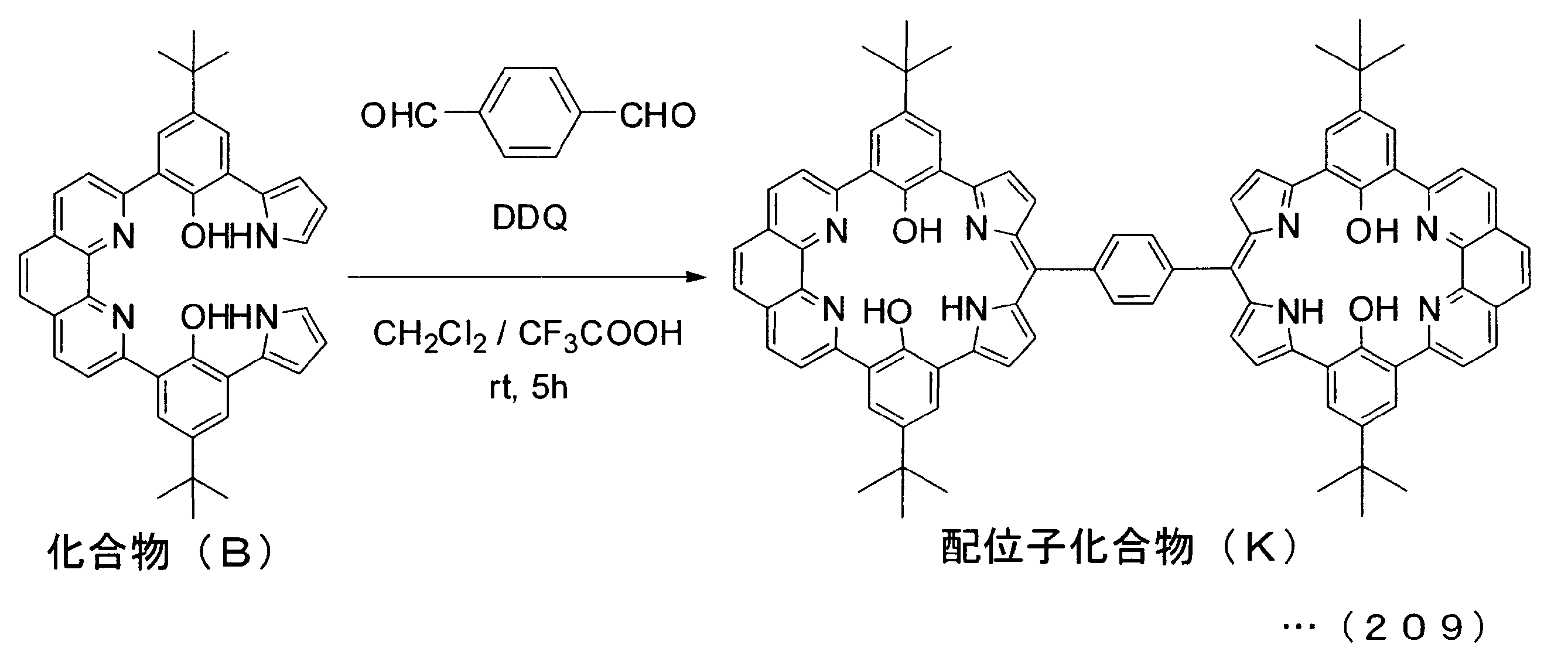 Figure JPOXMLDOC01-appb-C000169