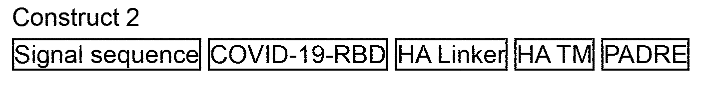 Figure JPOXMLDOC01-appb-C000002