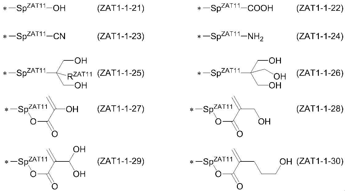 Figure JPOXMLDOC01-appb-C000019