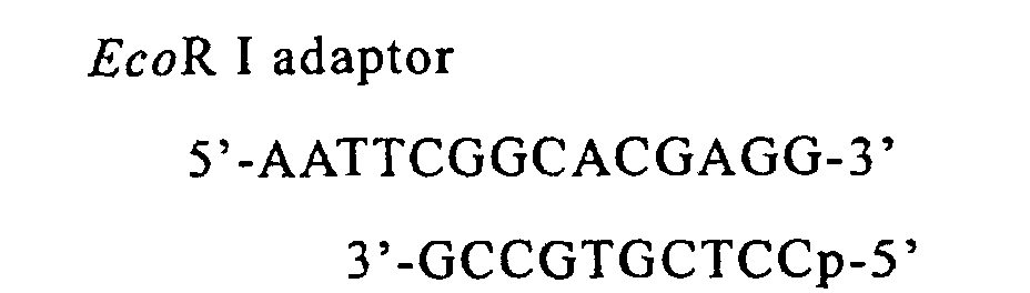 Figure 00340002