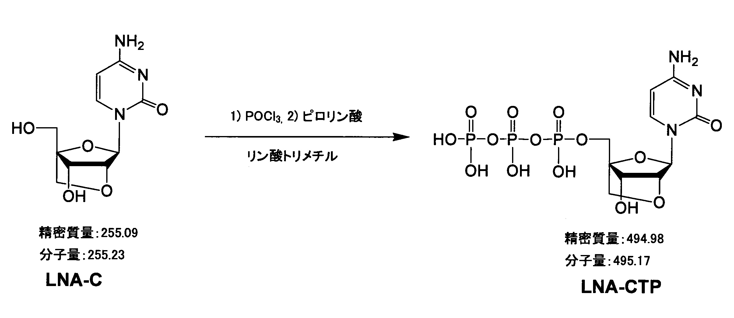 Figure JPOXMLDOC01-appb-C000007