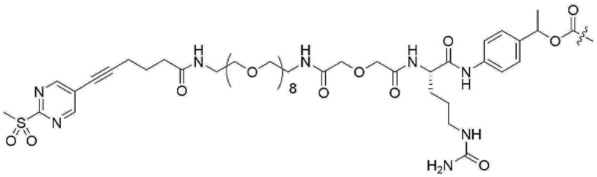 Figure pct00988