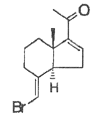 Figure imgb0024