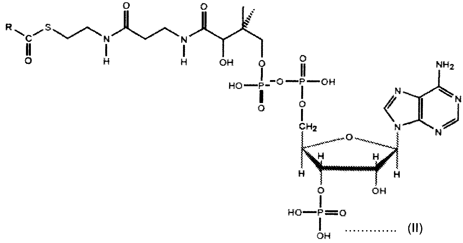 Figure imgf000034_0001