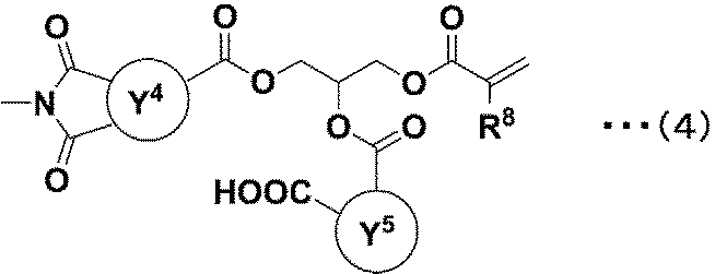 Figure JPOXMLDOC01-appb-C000014