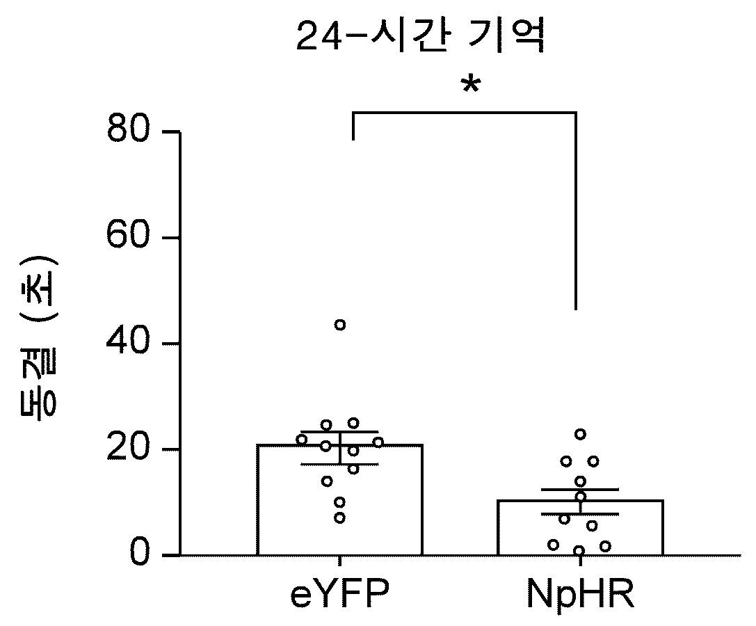 특허 도면 23