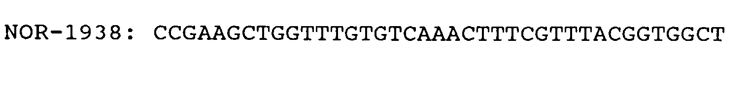 Figure 00190005