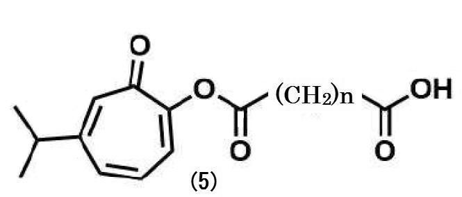 Figure JPOXMLDOC01-appb-C000010