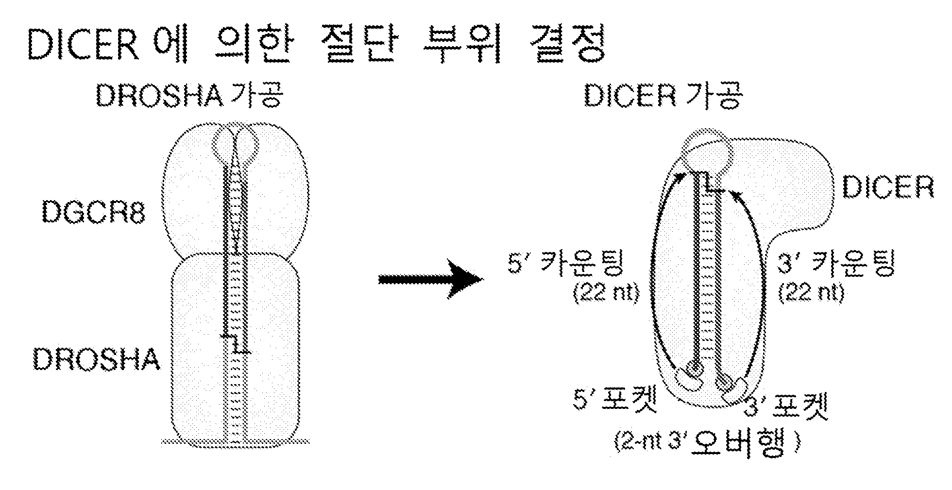 특허 도면 2
