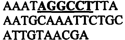 Figure imgb0022