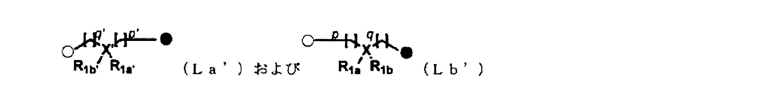 Figure JPOXMLDOC01-appb-C000047