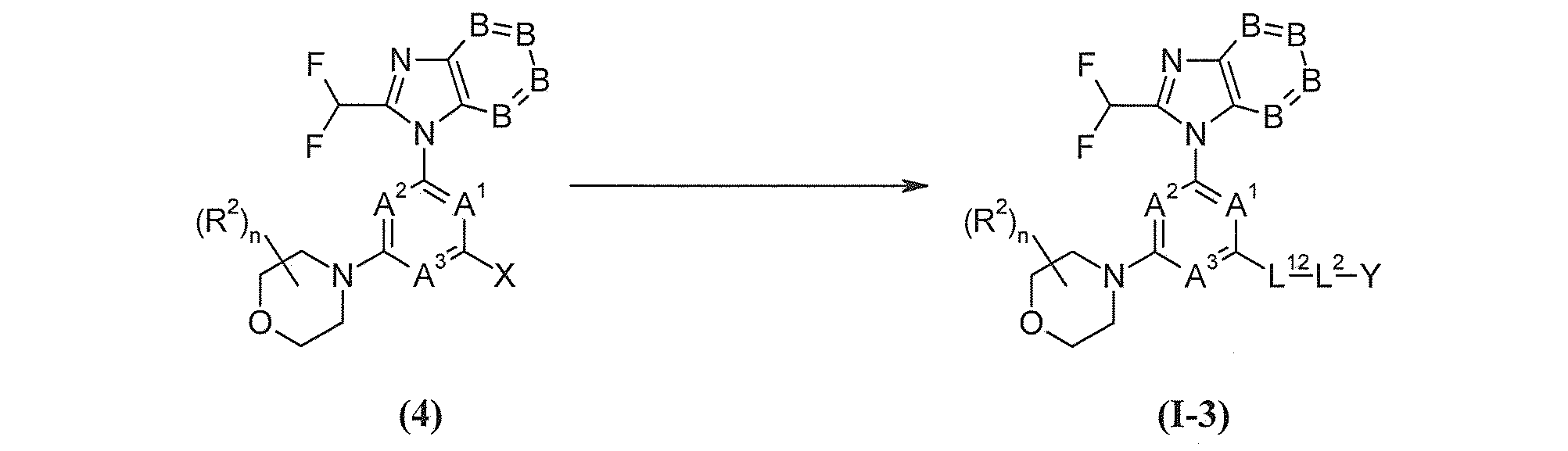 Figure JPOXMLDOC01-appb-C000009