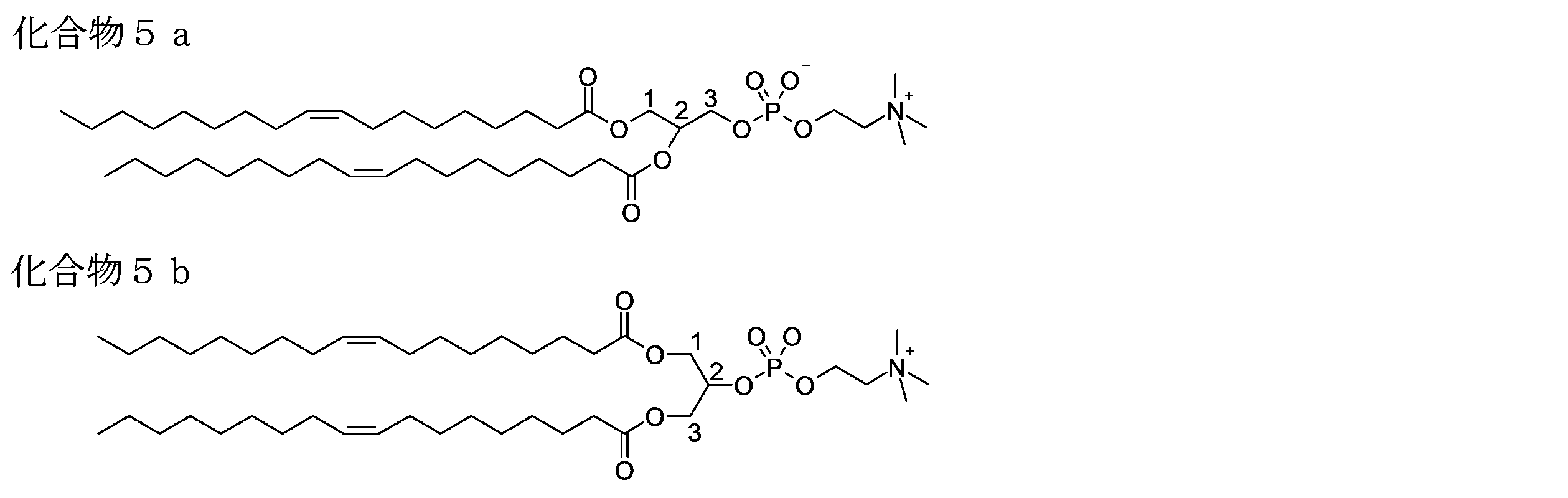Figure JPOXMLDOC01-appb-C000032