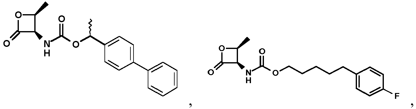 Figure imgb0005