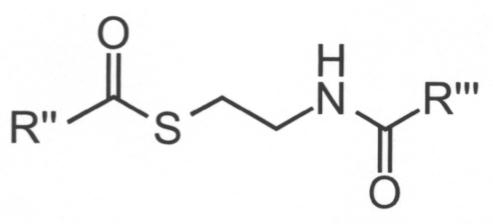 Figure JPOXMLDOC01-appb-C000005