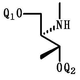 Figure JPOXMLDOC01-appb-C000055