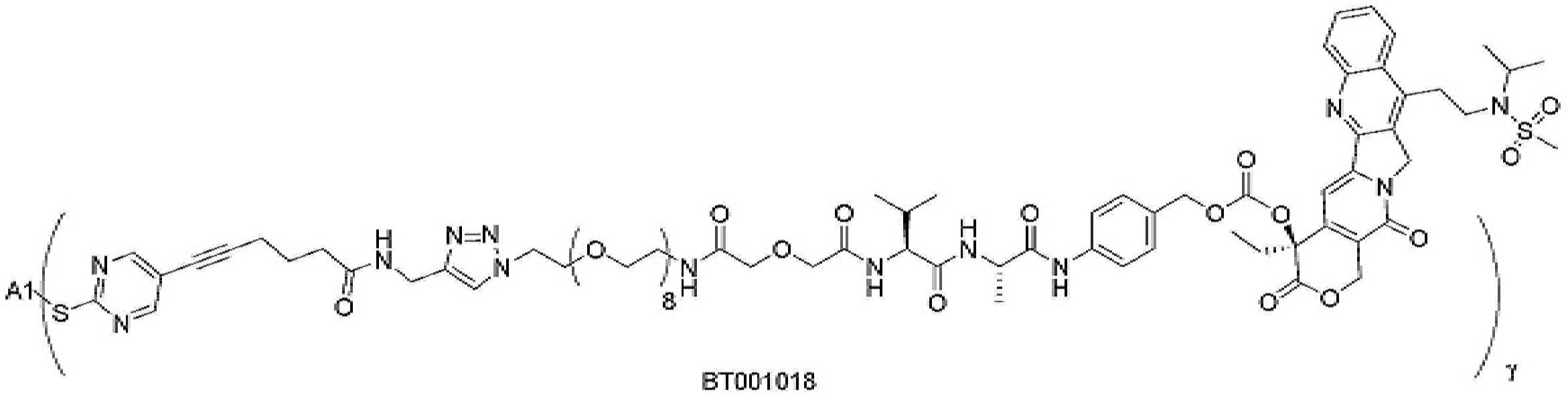 Figure pct00510