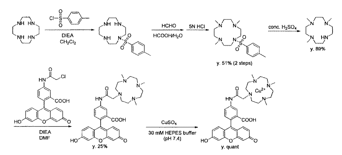 Figure JPOXMLDOC01-appb-C000012